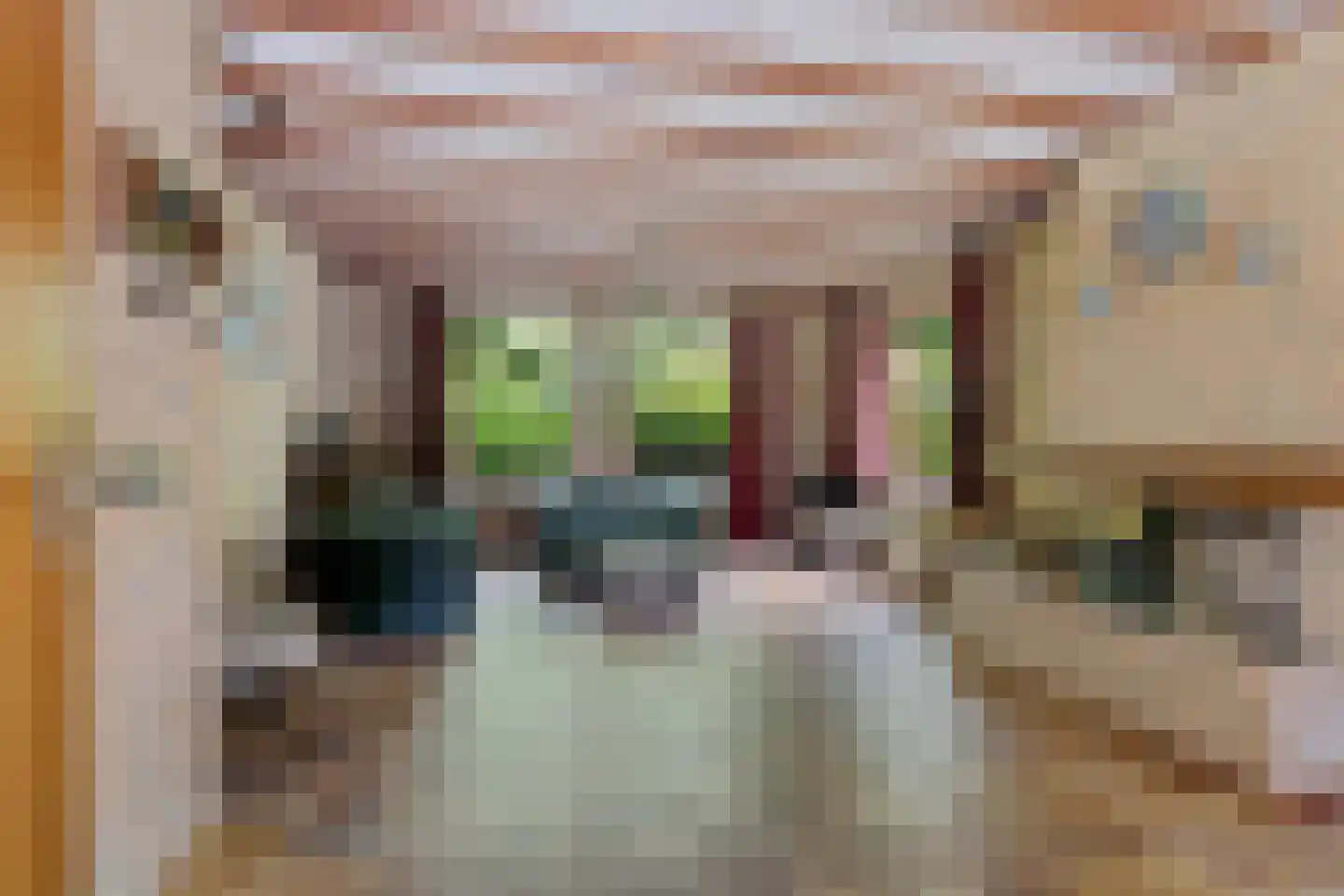 Neptunusstraat 6 Oss thumbnail 4