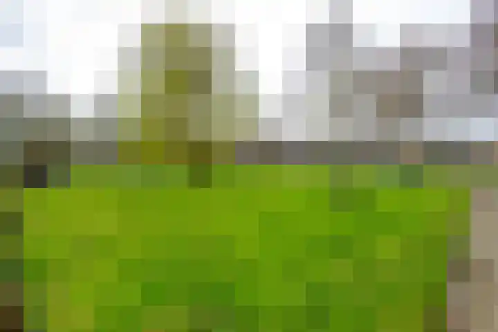 Neptunusstraat 60 Wieringerwerf thumbnail 37