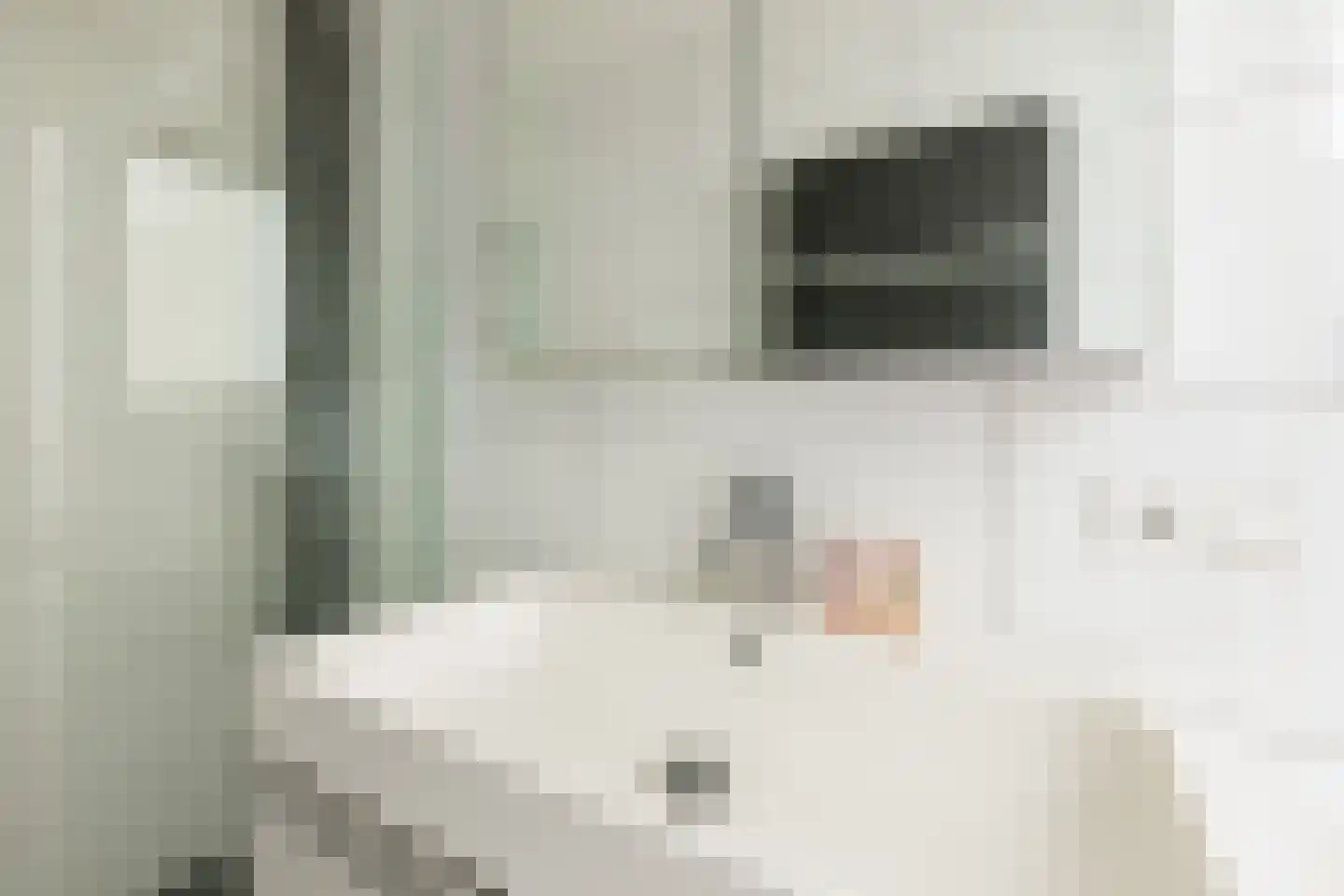 Neptunusstraat 61 Groningen thumbnail 37