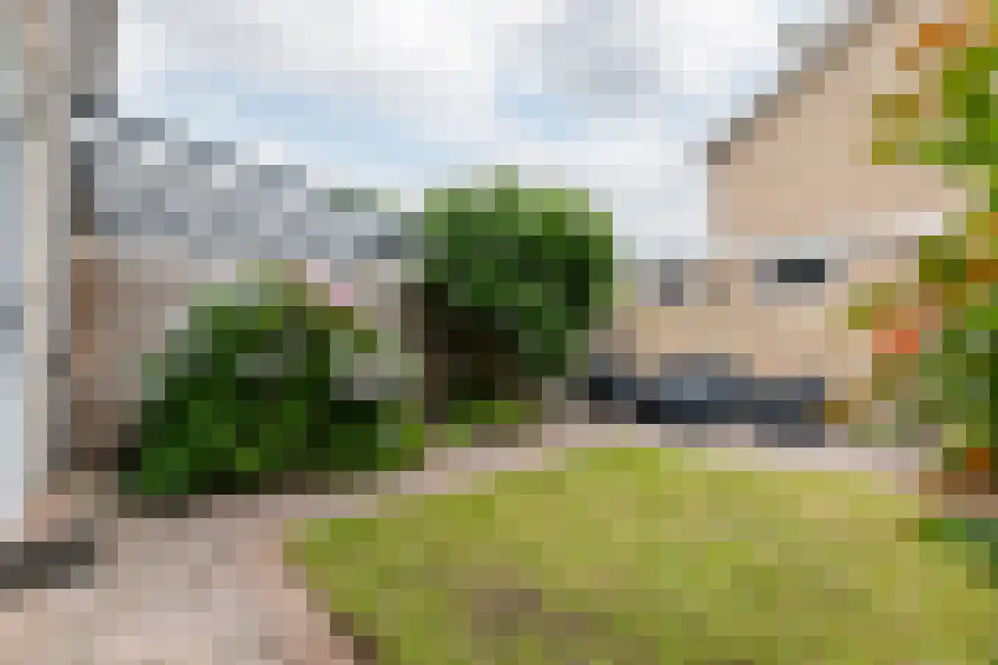 Neptunusstraat 61 Groningen thumbnail 45