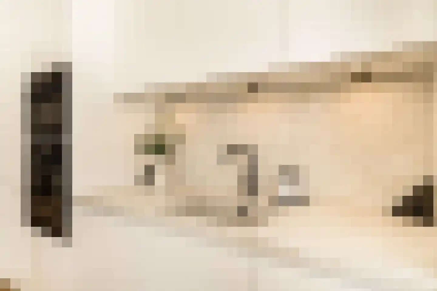 Neptunusstraat 64 Den Haag thumbnail 16