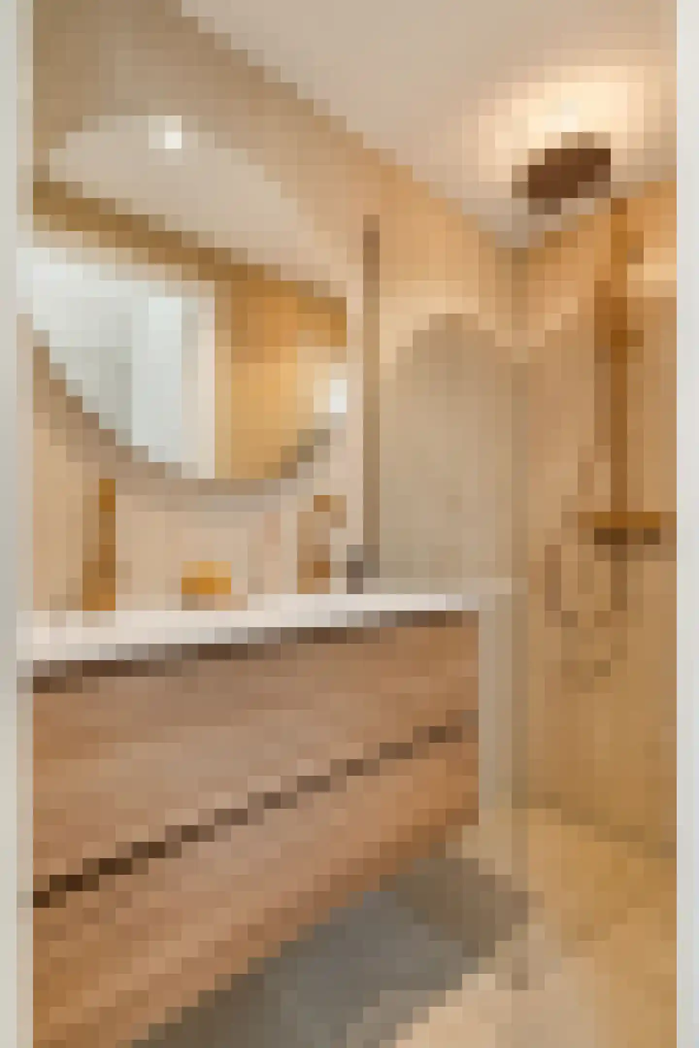 Neptunusstraat 64 Den Haag thumbnail 53