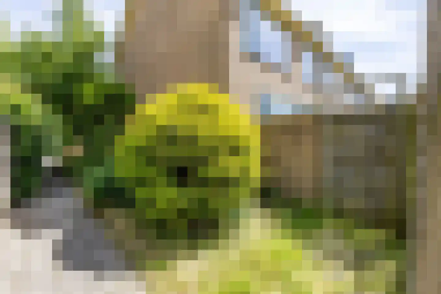 Neptunusstraat 64 Groningen thumbnail 36