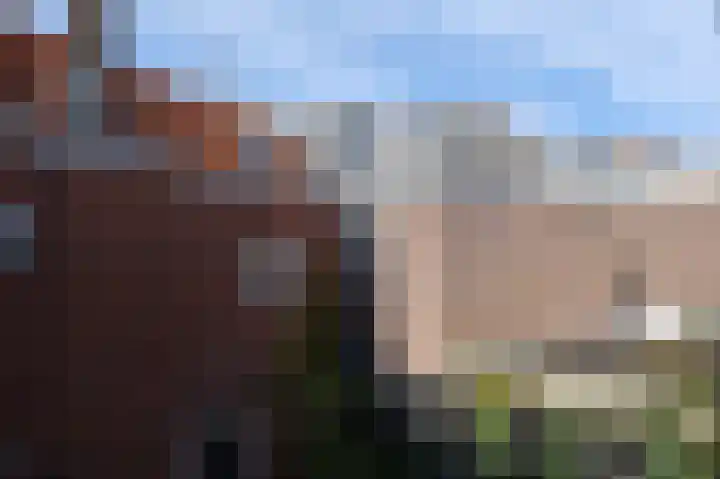 Neptunusstraat 80 Den Haag thumbnail 31