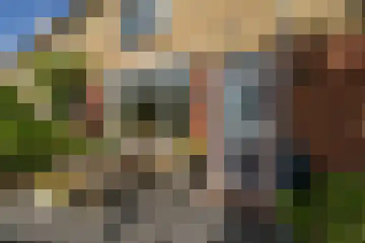 Neptunusstraat 9 Sassenheim thumbnail 53