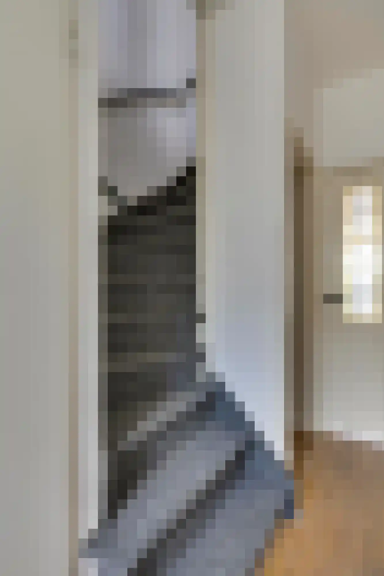 Neptunusstraat 9 Son en Breugel thumbnail 21