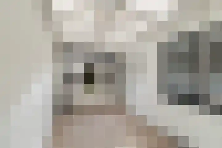 Nepveulaan 104 Zeist thumbnail 11