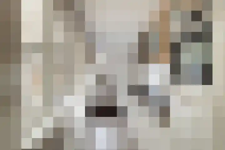 Nepveulaan 104 Zeist thumbnail 16