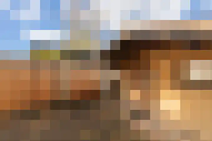 Nepveulaan 104 Zeist thumbnail 19