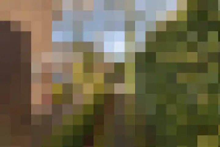 Nepveulaan 104 Zeist thumbnail 21