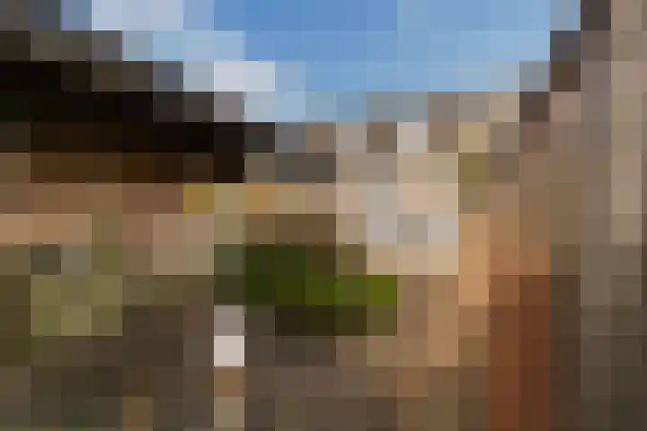 Nepveulaan 104 Zeist thumbnail 23
