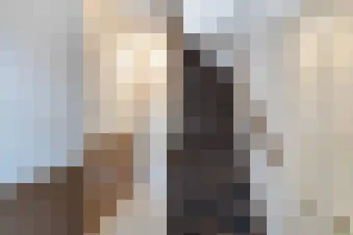 Nepveulaan 104 Zeist thumbnail 24