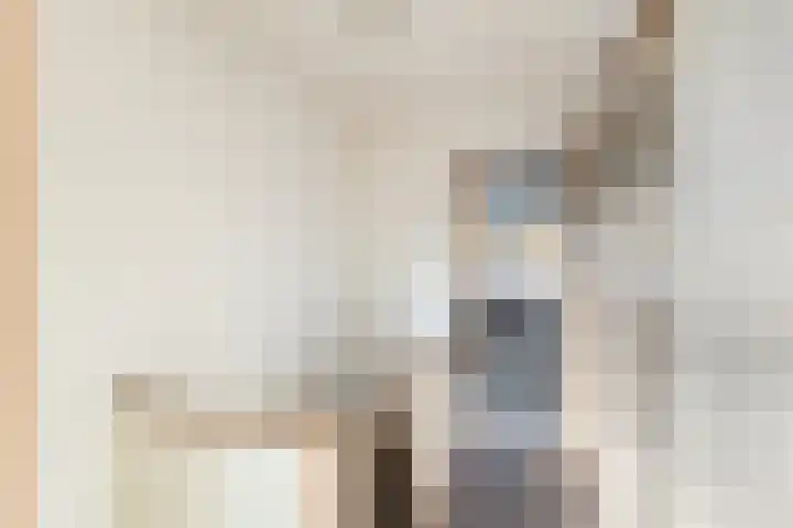 Nepveulaan 104 Zeist thumbnail 25