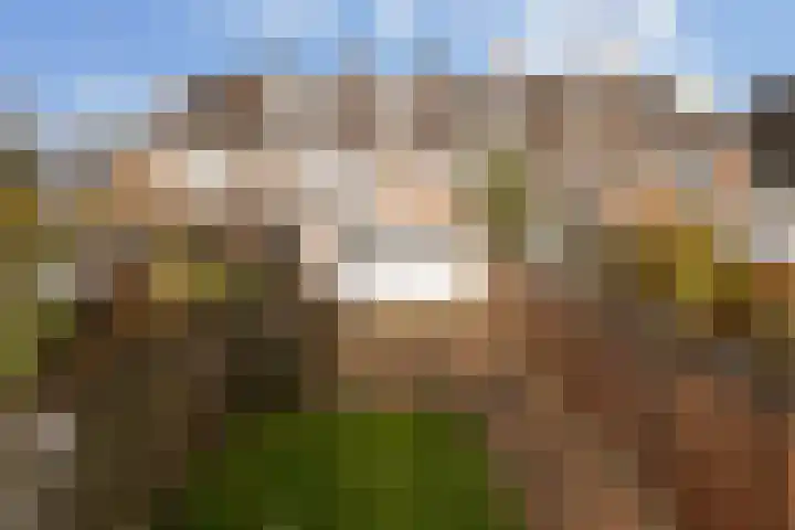 Nepveulaan 104 Zeist thumbnail 4