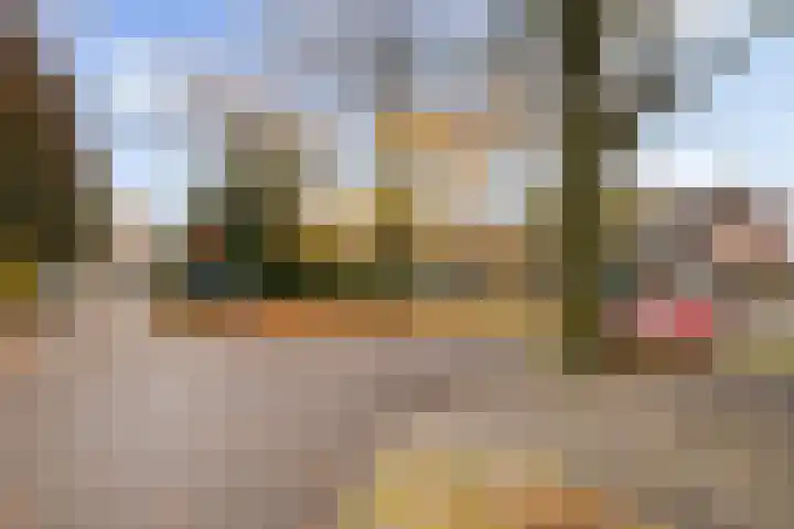 Nepveulaan 104 Zeist thumbnail 43