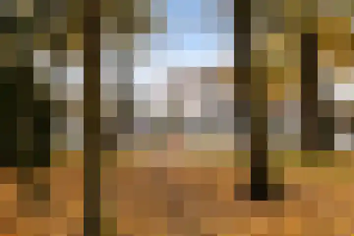 Nepveulaan 104 Zeist thumbnail 44