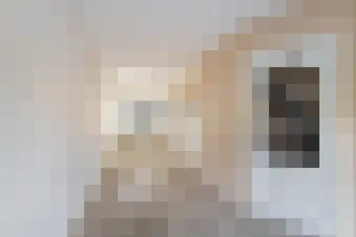 Nepveulaan 104 Zeist thumbnail 6