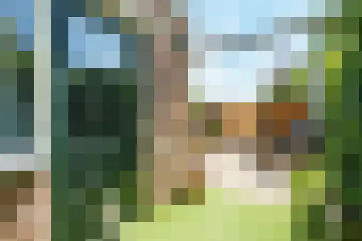 Nepveulaan 24 Zeist thumbnail 14