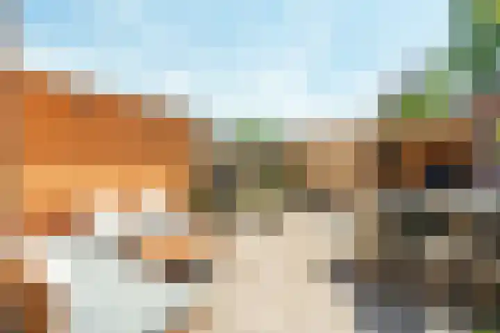 Nepveulaan 24 Zeist thumbnail 15