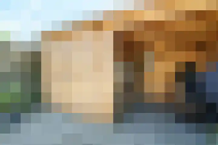 Nepveulaan 24 Zeist thumbnail 17