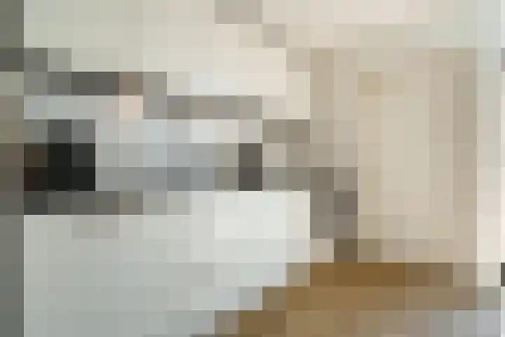 Nepveulaan 24 Zeist thumbnail 8