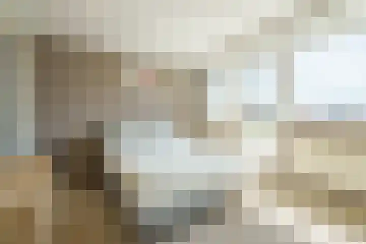 Nepveulaan 24 Zeist thumbnail 9