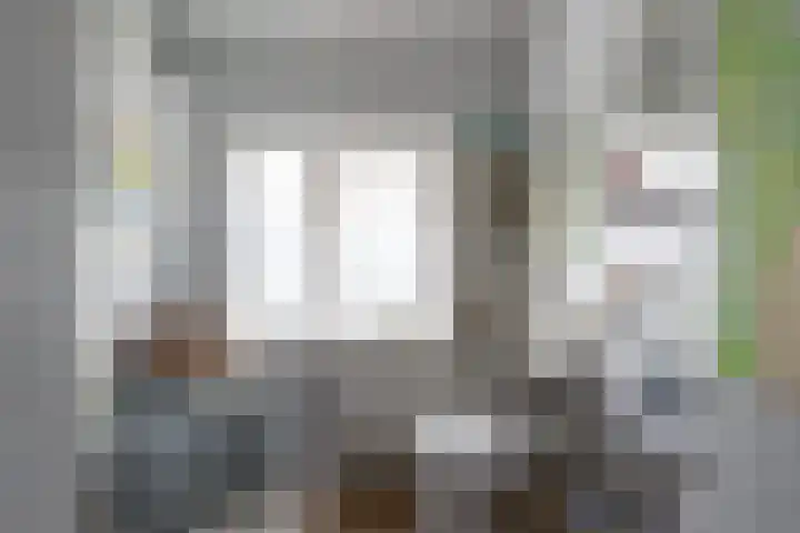 Nepveulaan 28 Zeist thumbnail 11