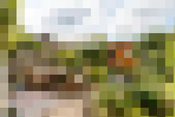 Nepveulaan 28 Zeist thumbnail 6