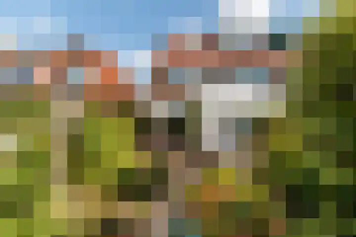 Nepveulaan 28 Zeist thumbnail 7