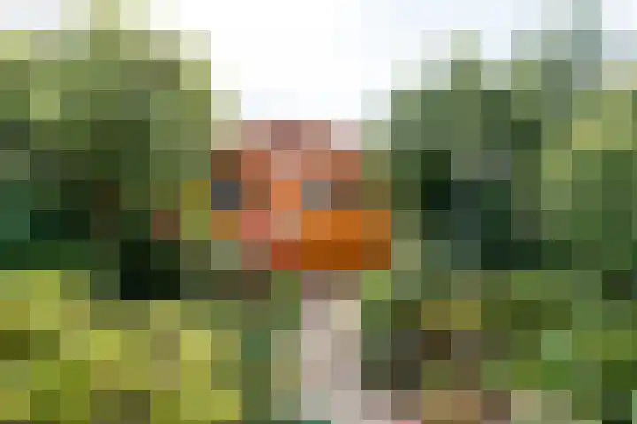Nepveulaan 28 Zeist thumbnail 8