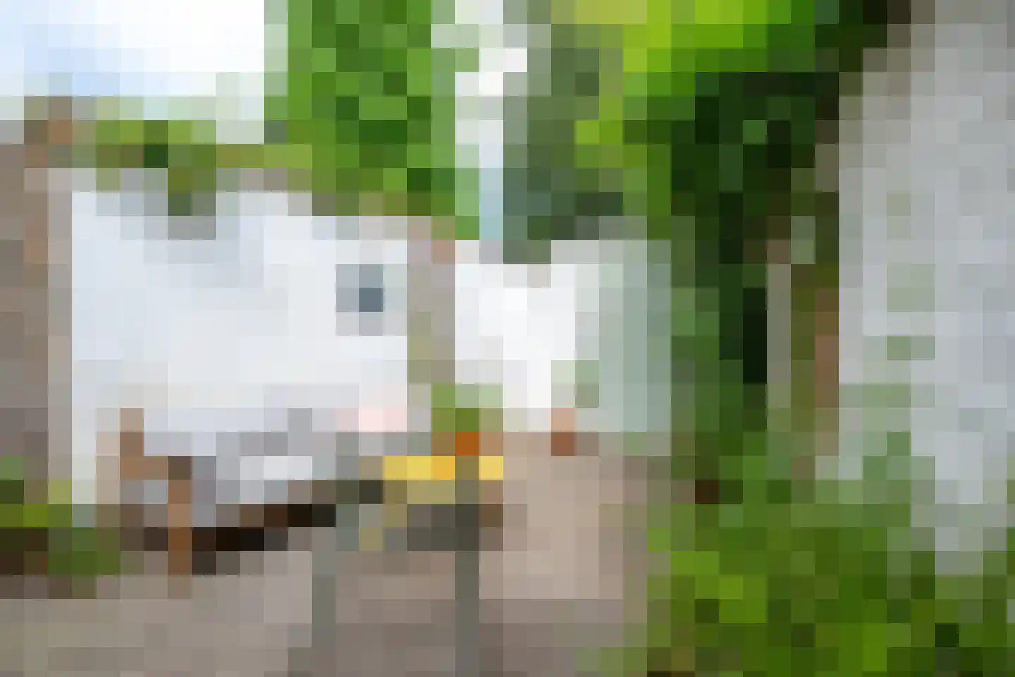 Nepveulaan 55 Zeist thumbnail 19