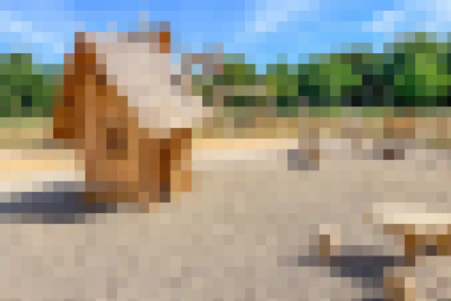 Nepveulaan 55 Zeist thumbnail 36