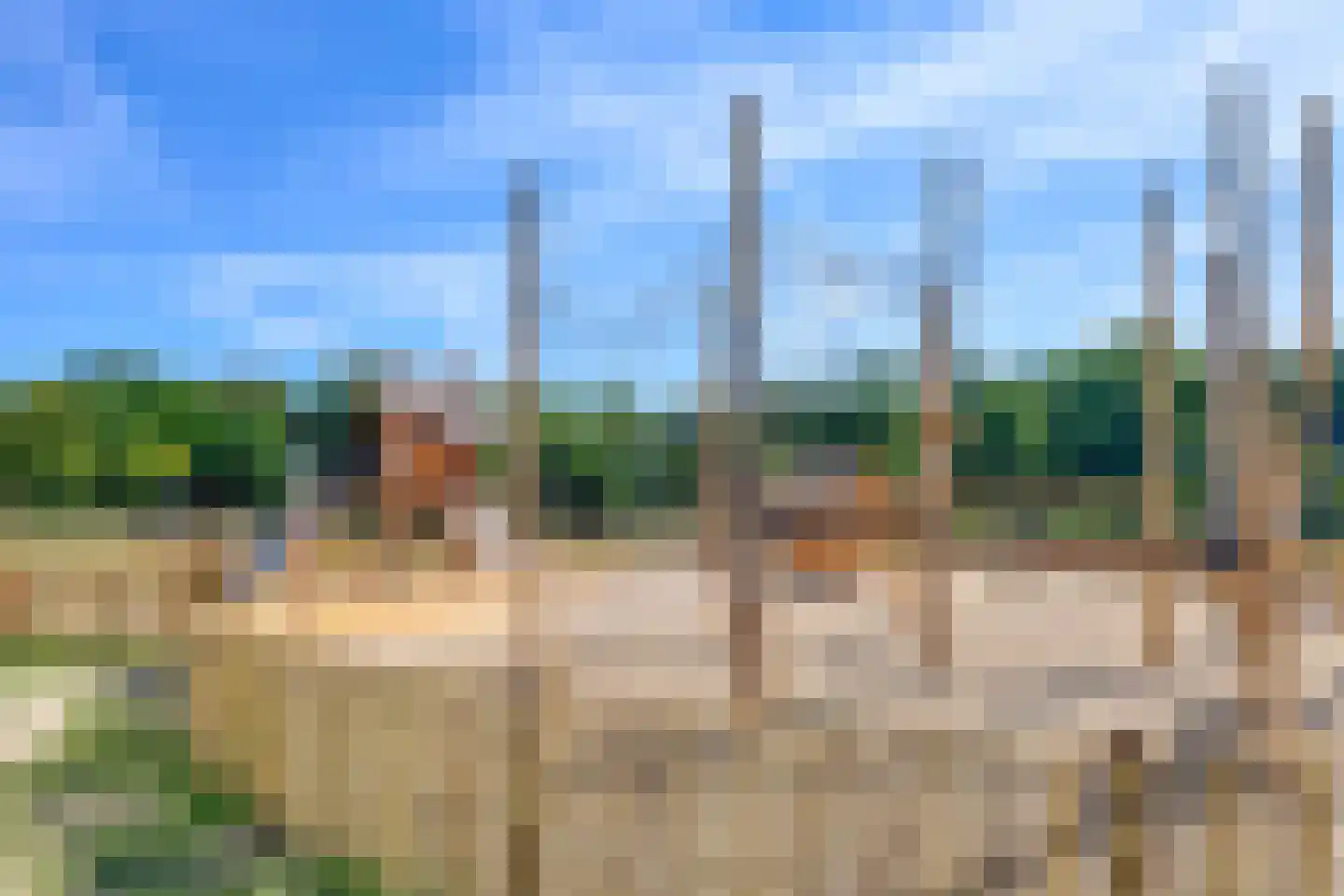 Nepveulaan 55 Zeist thumbnail 38