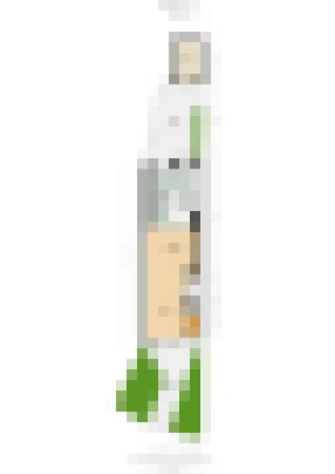 Nepveulaan 55 Zeist thumbnail 39