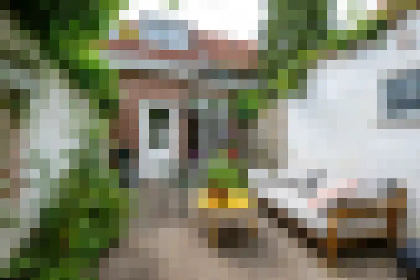Nepveulaan 55 Zeist thumbnail 4