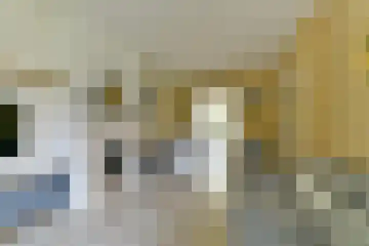 Nepveulaan 61 Zeist thumbnail 13
