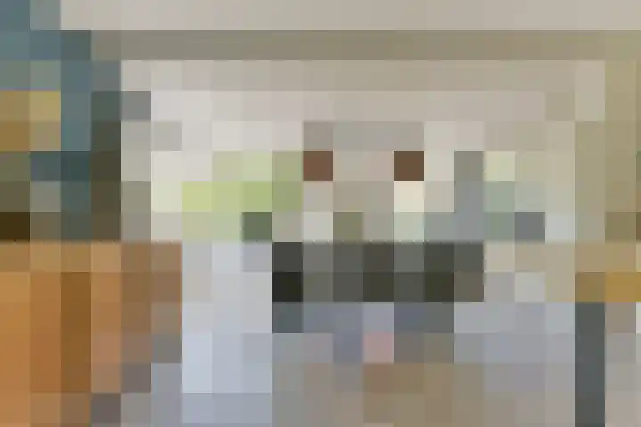 Nepveulaan 61 Zeist thumbnail 14