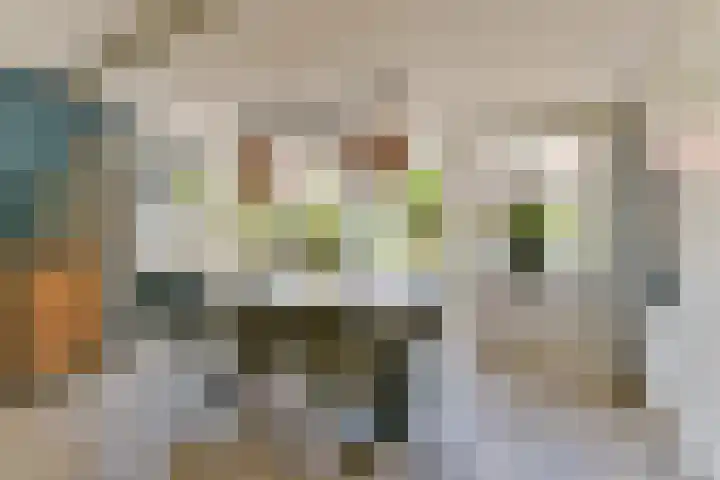 Nepveulaan 61 Zeist thumbnail 21