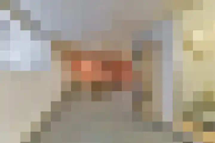 Nepveulaan 61 Zeist thumbnail 28