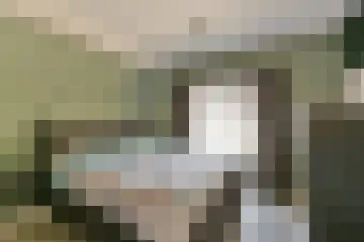 Nepveulaan 61 Zeist thumbnail 36