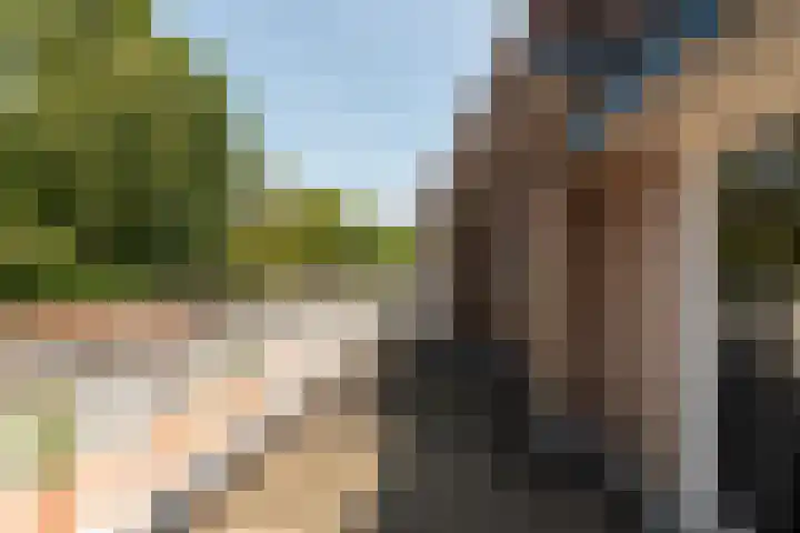 Nepveulaan 61 Zeist thumbnail 37