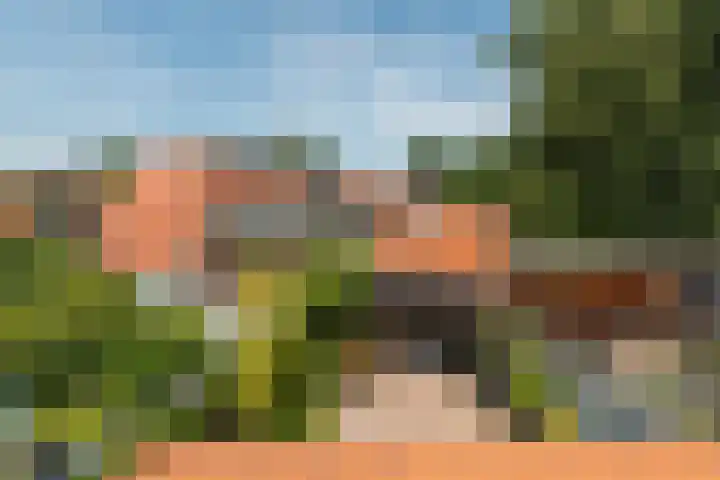 Nepveulaan 61 Zeist thumbnail 38