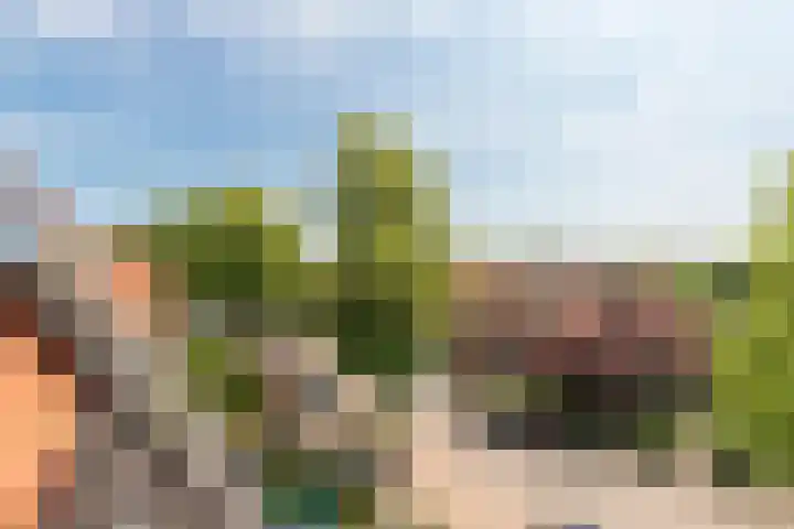 Nepveulaan 61 Zeist thumbnail 48