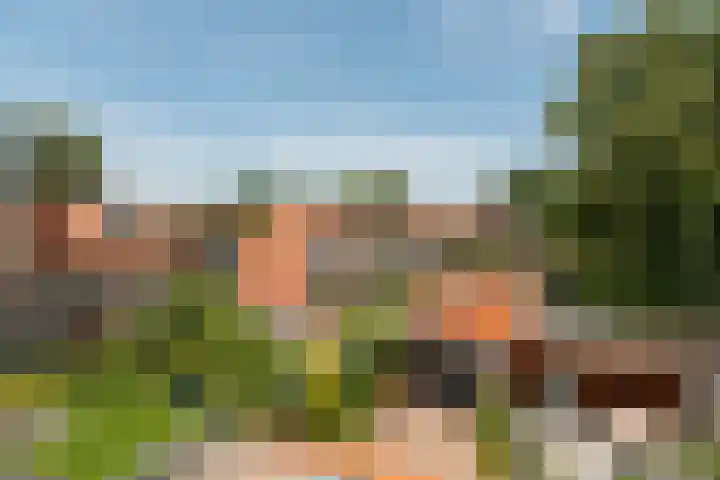 Nepveulaan 61 Zeist thumbnail 49
