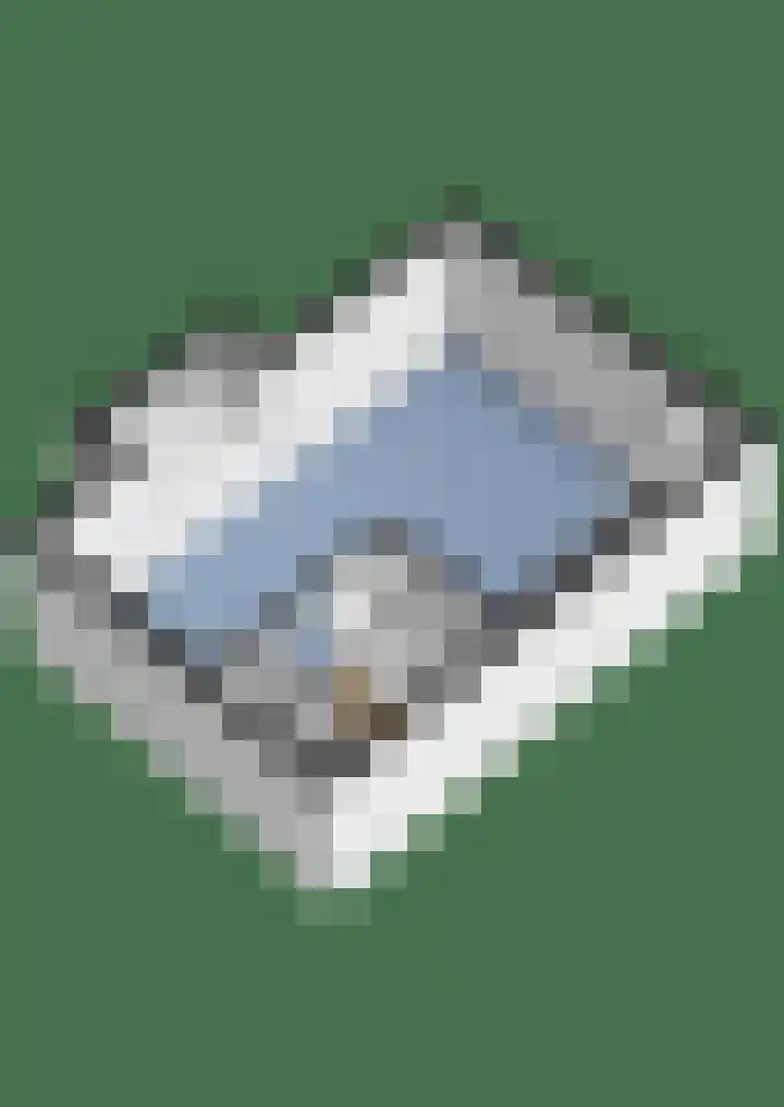 Nepveulaan 61 Zeist thumbnail 59