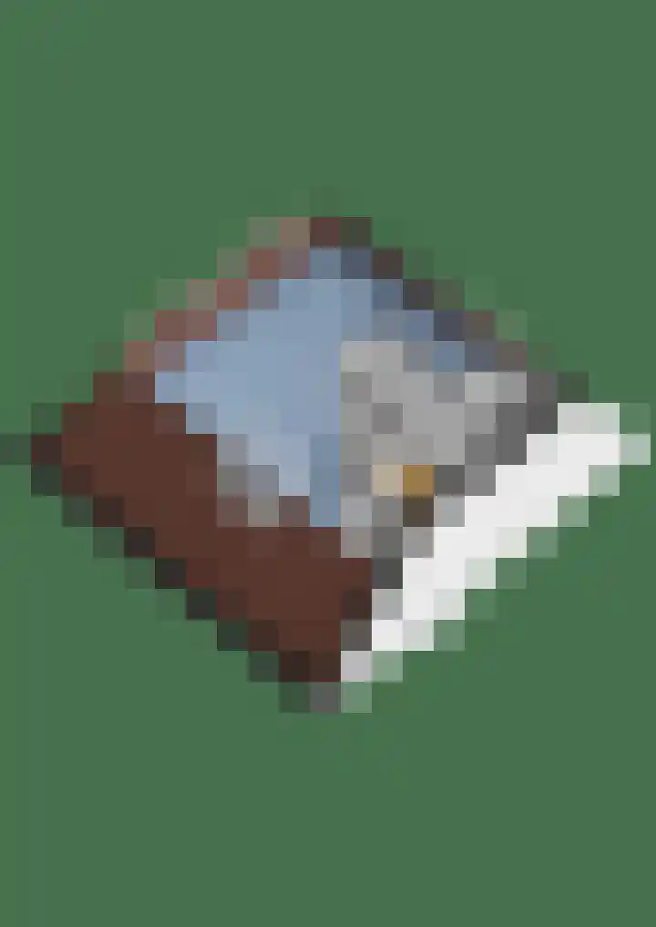 Nepveulaan 61 Zeist thumbnail 61