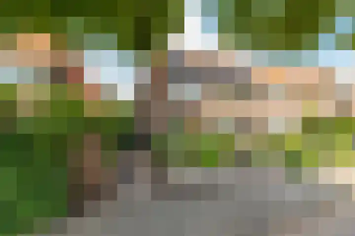 Nepveulaan 61 Zeist thumbnail 62