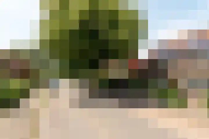 Nepveulaan 61 Zeist thumbnail 7