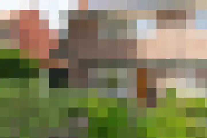 Nepveulaan 61 Zeist thumbnail 8