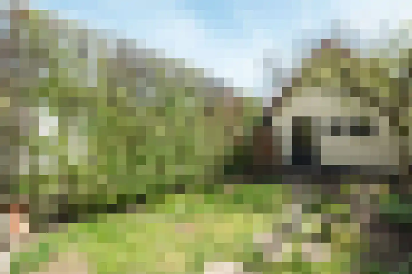 Nepveulaan 74 Zeist thumbnail 24